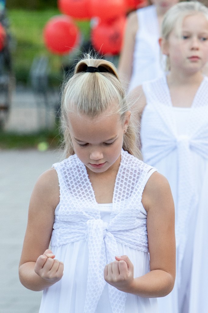 Schoolplein Festival A484.jpg